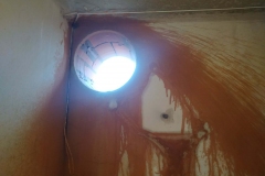 изображение_viber_2020-03-27_00-43-29