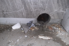 изображение_viber_2020-03-27_00-49-44