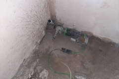 изображение_viber_2020-03-27_00-49-45