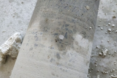 изображение_viber_2020-03-27_00-49-56